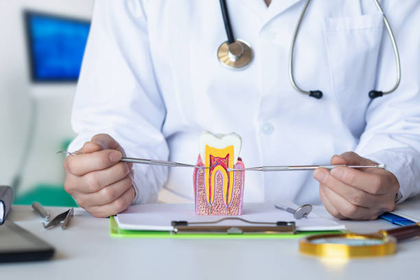 Best Dentist for Tooth Abscess  in Eastman, GA